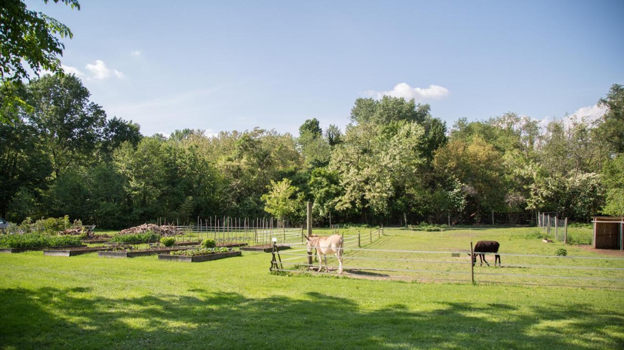 Villa La Collina Delle Mignole à Moruzzo Extérieur photo